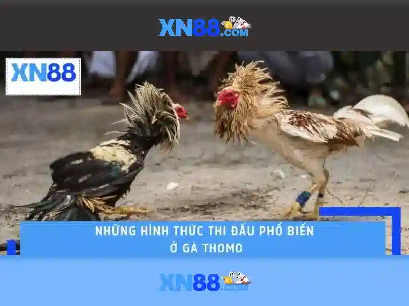 💎kèo nhà cai .com💎 💎kèo nhà cai .com💎