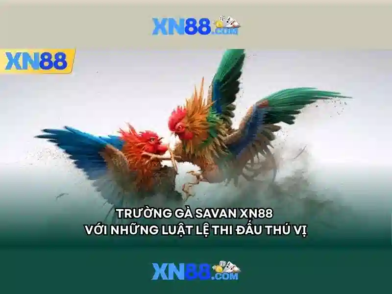 Tải App XN88 - Hướng Dẫn Chi Tiết Cách Tải Và Cài Đặt 2026 - xn88 Tải App XN88 - Hướng Dẫn Chi Tiết Cách Tải Và Cài Đặt 2026 - xn88