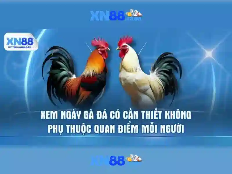 💎kèo nhà cái trực tiếp bóng đá đem nay💎 💎kèo nhà cái trực tiếp bóng đá đem nay💎