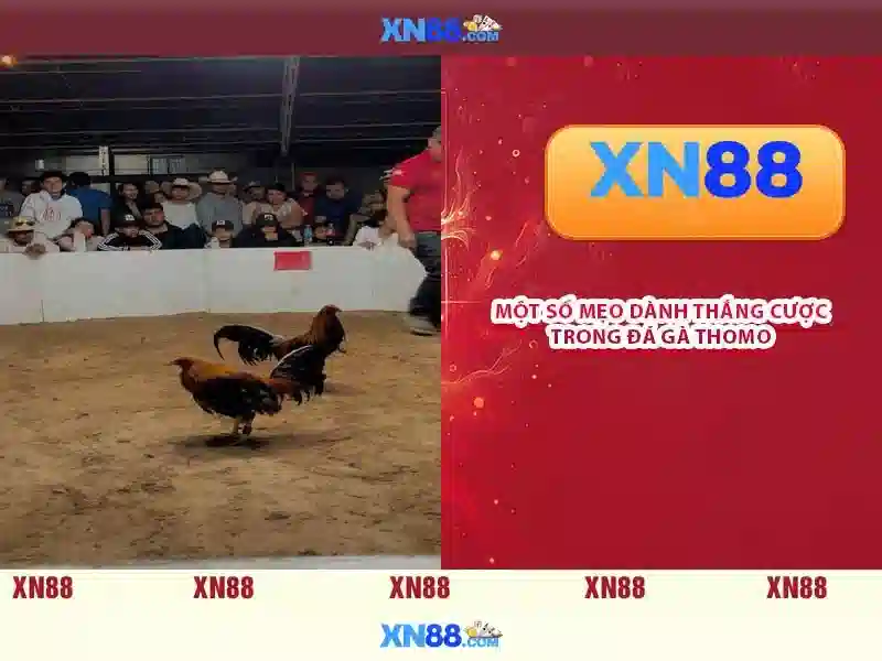 💎888 slot no 1💎 💎888 slot no 1💎