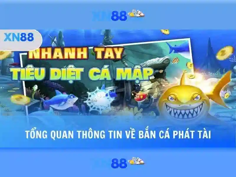 giấy phép hoạt động - xn88 giấy phép hoạt động - xn88