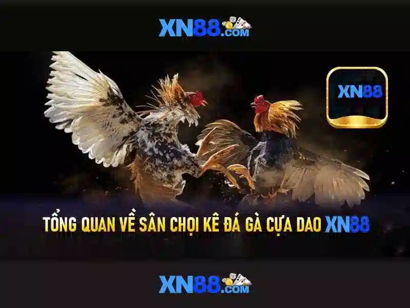 💎free goldfish slots💎 💎free goldfish slots💎