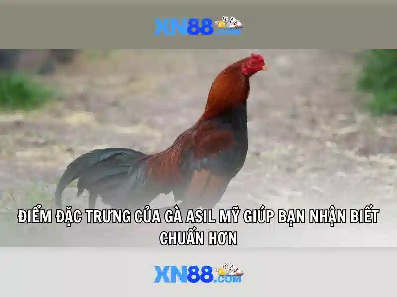 💎nhà cái fun88 vnz💎 💎nhà cái fun88 vnz💎