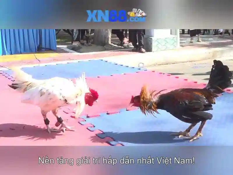 💎hb88 royal fishing💎 💎hb88 royal fishing💎