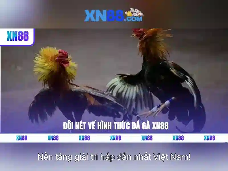 💎777 slots 777 hb88 casino login💎 💎777 slots 777 hb88 casino login💎