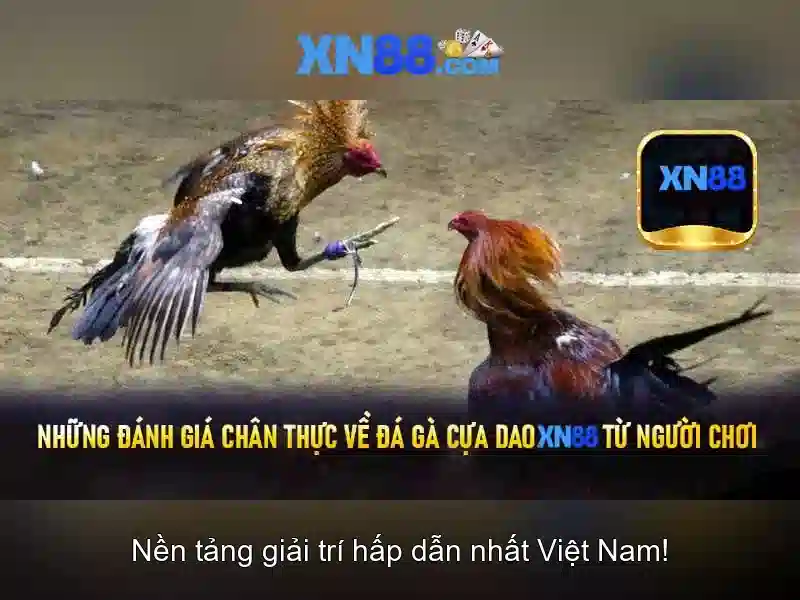 thủ tục rút tiền - xn88 thủ tục rút tiền - xn88