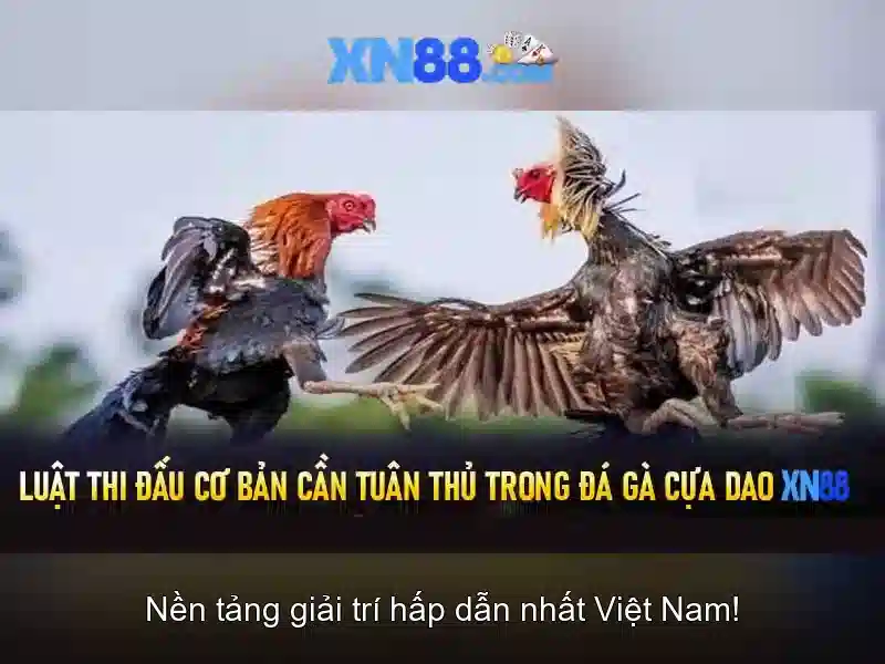 💎cách đánh xổ số miền bắc trên kubet💎 💎cách đánh xổ số miền bắc trên kubet💎