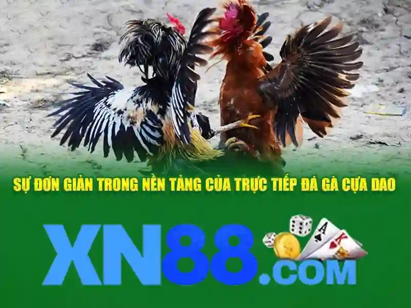 💎nhà cái tăng tiến💎 💎nhà cái tăng tiến💎