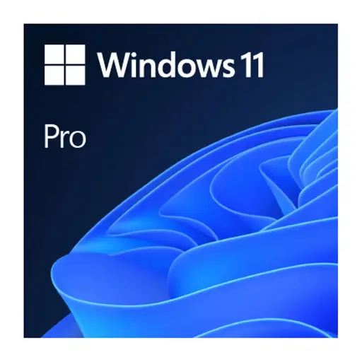 [HAV-00159] HAV-00159 Windows 11 Professional Türkçe